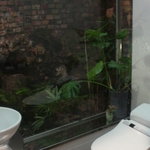 日本料理 戸たに - おしゃれな空間