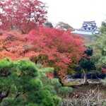 一休庵 柏葉 多賀店 - 