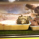 長崎の味処 鮨・割烹さくらい - グジ（甘鯛）、サザエ、うちわエビの並ぶケース