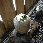 吟八亭 やざ和 - 足元には白百合の花が・・・