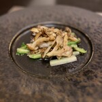 ヤマガタ0035 アル・ケッチァーノ コンチェルト - 