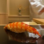 Sushi Masuda - クルマエビ