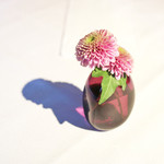 Cucina Italiana 東洞 - テーブルに飾られていた花。 '13 11月中旬