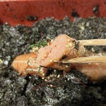 元祖博多めんたい重 - めんたいこの外側には薄い昆布が巻いてあります