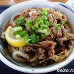 岸井うどん - 肉ぶっかけ冷