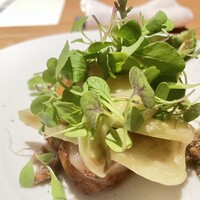 マンサルヴァ - 