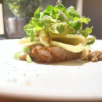 マンサルヴァ - 