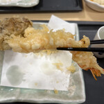 Tendon Tenya - 