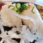 Sushi Yuukan - ふぐ