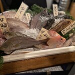 居魚屋 うおはん - 