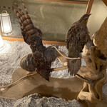 湯めぐりの宿 平湯館 - 