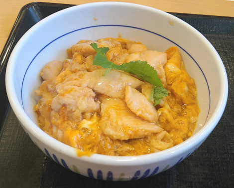 Naka U Hirakata Yofu Ten photo 2