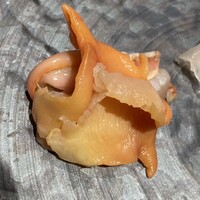 鮨なかの - 