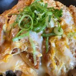 あずみうどん - カツ丼　アップ