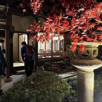 うかい鳥山 - 