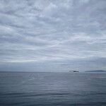 ニューさがみや - 