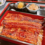 Unagi Kinsui - 