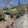 そば処　武蔵屋 - 身延往還みちのお蕎麦屋さん