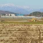 そば処元気屋 - 山には雪がかぶってるし