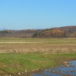そば処元気屋 - 晩秋の小春日和。空気がうまい！