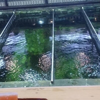 博多料亭 稚加榮 - 