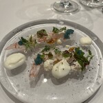 アッシュ - 香住あま海老とカリフラワー