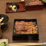 Unagi Unasakura - 