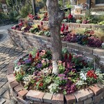 Restaurant Laplace - お店の庭　⸜(๑⃙⃘'ᵕ'๑⃙⃘)⸝⋆︎*