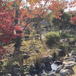 Restaurant Laplace - お店の庭　⸜(๑⃙⃘'ᵕ'๑⃙⃘)⸝⋆︎*