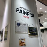 PAINPRO - 