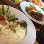 TORI MARCHE TAKACHO - 