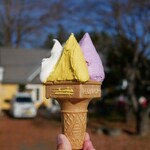 ウエモンズ ハート - 