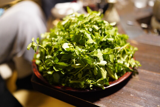 Shokudo Miyazaki photo 2