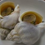 鮨大吉 - （2009/8）磯つぶ貝の塩茹で
