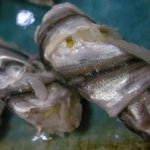 鮨大吉 - （2009/8）シンコ2枚ものは九州産