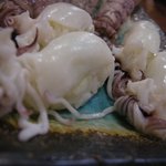 鮨大吉 - （2009/8）新イカ