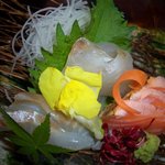 蔵の料亭 さかばやし - 