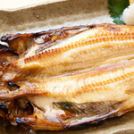 Oversized Atka mackerel dried overnight