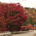 足柄古道万葉うどん - 