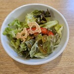 Enomoto Hambagu Kenkyuujo - サラダ