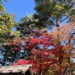 イノダコーヒ - おまけ。南禅寺