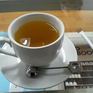 猫カフェ ねこ会議_1