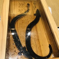 にょろ助 銀座 - 