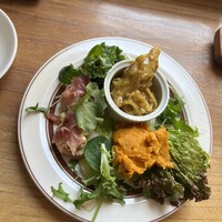 VELVET VIRGO -  VELVET VIRGO -