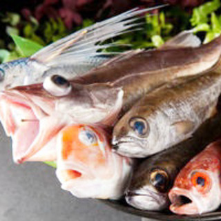 ここが違う！三重県尾鷲産の鮮魚