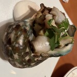 ガジュマルの樹の下で - 