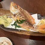 ガジュマルの樹の下で - 