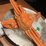 くろぎ - 間人蟹