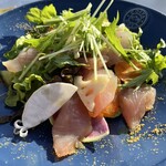 アマルフィイ デラセーラ - 