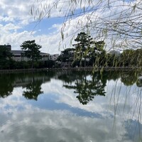 リストランテ リンコントロ - 1300年前から存在する猿沢池を散策。古都ならまちに「リストランテ リンコントロ」があります。